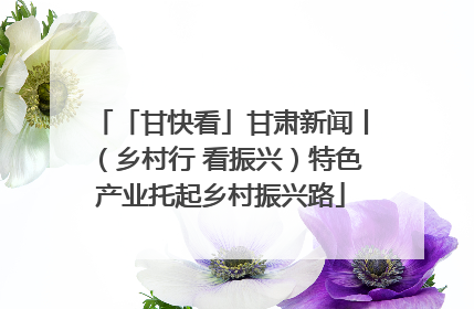 「甘快看」甘肃新闻丨（乡村行 看振兴）特色产业托起乡村振兴路