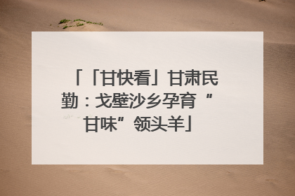 「甘快看」甘肃民勤：戈壁沙乡孕育“甘味”领头羊