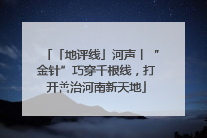 「地评线」河声丨“金针”巧穿千根线，打开善治河南新天地