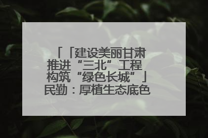 「建设美丽甘肃 推进“三北”工程 构筑“绿色长城”」民勤：厚植生态底色 筑牢绿色屏障