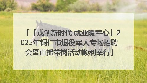 「戎创新时代·就业暖军心」2025年铜仁市退役军人专场招聘会暨直播带岗活动顺利举行