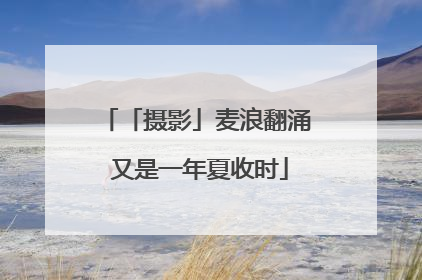 「摄影」麦浪翻涌 又是一年夏收时