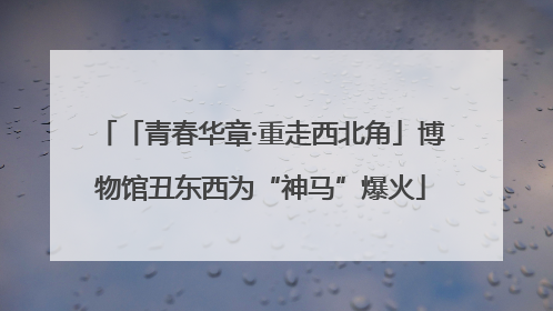 「青春华章·重走西北角」博物馆丑东西为“神马”爆火