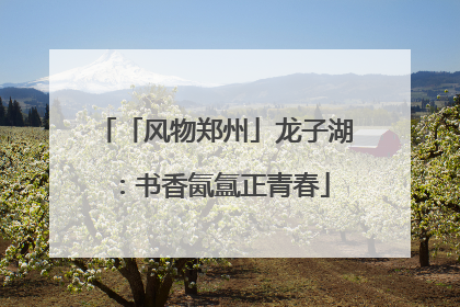 「风物郑州」龙子湖：书香氤氲正青春
