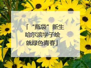 “瓶袋”新生 哈尔滨学子绘就绿色青春
