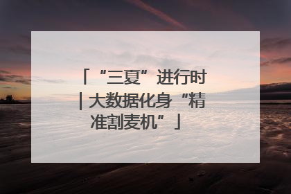 “三夏”进行时｜大数据化身“精准割麦机”