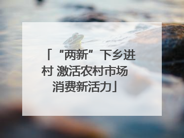 “两新”下乡进村 激活农村市场消费新活力