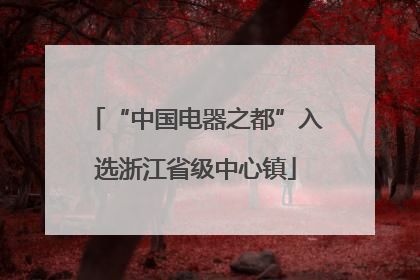 “中国电器之都”入选浙江省级中心镇