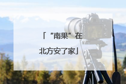“南果”在北方安了家