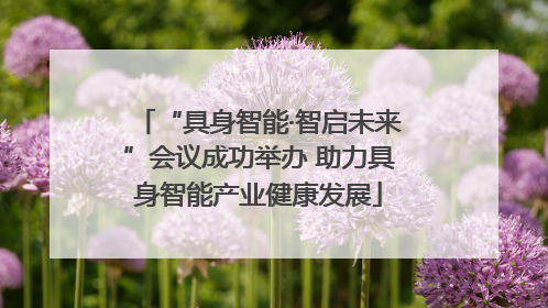 “具身智能·智启未来”会议成功举办 助力具身智能产业健康发展