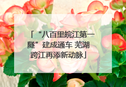 “八百里皖江第一隧”建成通车 芜湖跨江再添新动脉