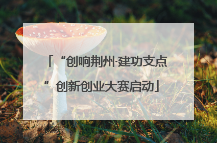 “创响荆州·建功支点”创新创业大赛启动