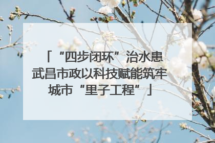“四步闭环”治水患 武昌市政以科技赋能筑牢城市“里子工程”
