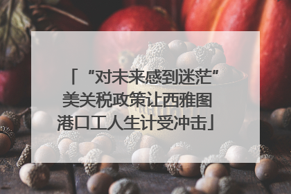 “对未来感到迷茫” 美关税政策让西雅图港口工人生计受冲击