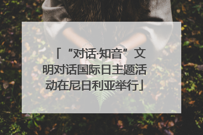 “对话·知音”文明对话国际日主题活动在尼日利亚举行