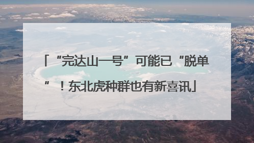 “完达山一号”可能已“脱单”！东北虎种群也有新喜讯