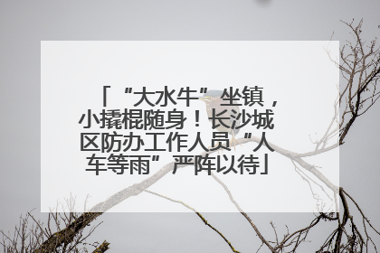 “大水牛”坐镇，小撬棍随身！长沙城区防办工作人员“人车等雨”严阵以待