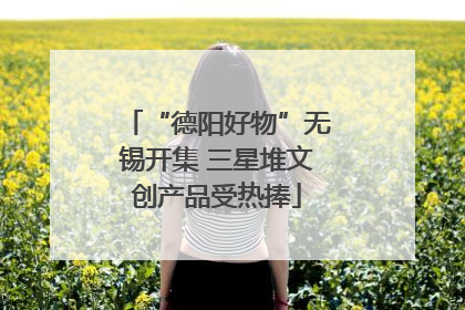 “德阳好物”无锡开集 三星堆文创产品受热捧