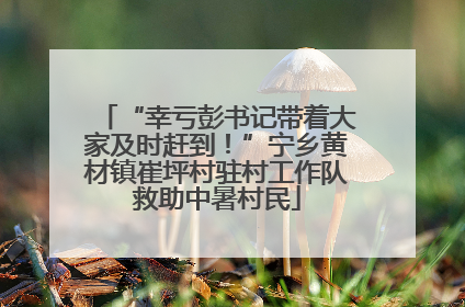 “幸亏彭书记带着大家及时赶到！”宁乡黄材镇崔坪村驻村工作队救助中暑村民