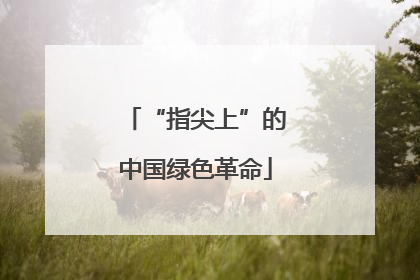 “指尖上”的中国绿色革命