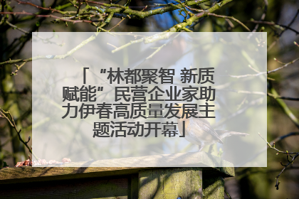 “林都聚智 新质赋能”民营企业家助力伊春高质量发展主题活动开幕