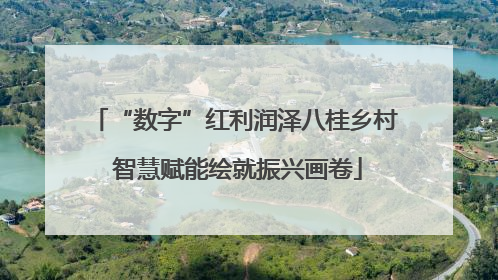 “数字”红利润泽八桂乡村 智慧赋能绘就振兴画卷