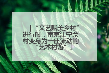 “文艺赋美乡村”进行时，南京江宁佘村变身为一座流动的“艺术村落”