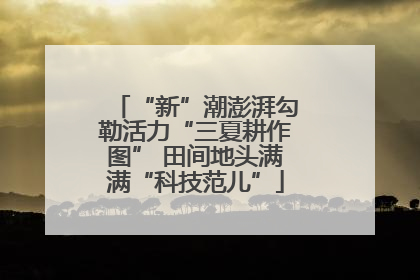“新”潮澎湃勾勒活力“三夏耕作图” 田间地头满满“科技范儿”