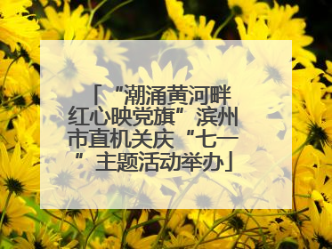 “潮涌黄河畔 红心映党旗”滨州市直机关庆“七一”主题活动举办