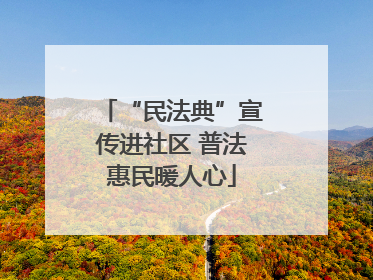 “民法典”宣传进社区 普法惠民暖人心