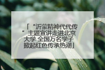 “沂蒙精神代代传”主题宣讲走进北京大学 全国万名学子掀起红色传承热潮