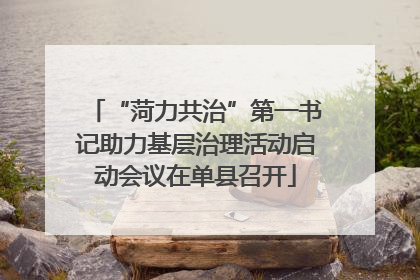 “菏力共治”第一书记助力基层治理活动启动会议在单县召开