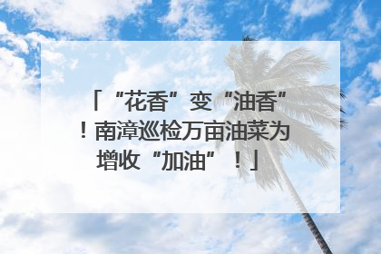 “花香”变“油香”！南漳巡检万亩油菜为增收“加油”！