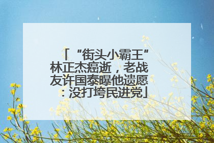 “街头小霸王”林正杰癌逝，老战友许国泰曝他遗愿：没打垮民进党