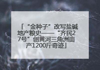 “金种子”改写盐碱地产粮史——“齐民27号”创黄河三角洲亩产1200斤奇迹