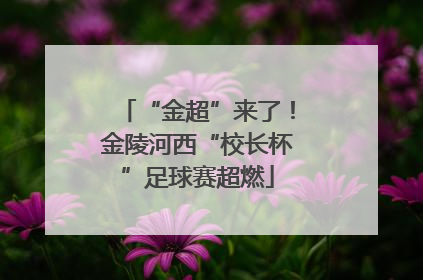 “金超”来了！金陵河西“校长杯”足球赛超燃