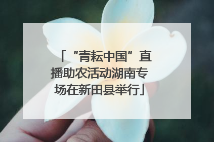 “青耘中国”直播助农活动湖南专场在新田县举行
