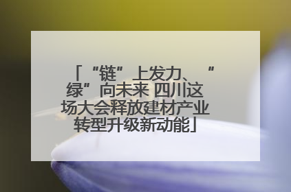 “链”上发力、“绿”向未来 四川这场大会释放建材产业转型升级新动能