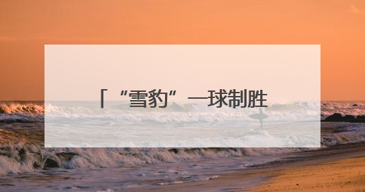 “雪豹”一球制胜 “盛宴”火爆全场——第二届“青超联赛”第二轮西宁主场比赛见闻
