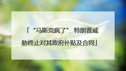 “马斯克疯了” 特朗普威胁终止对其政府补贴及合同