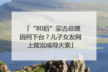 “80后”蒙古总理因何下台？儿子女友网上炫富成导火索