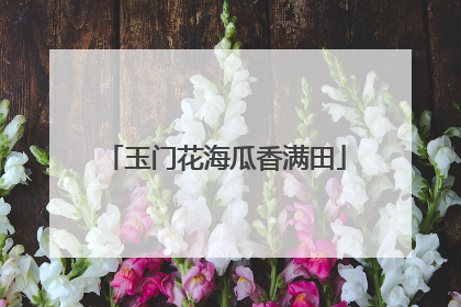 玉门花海瓜香满田