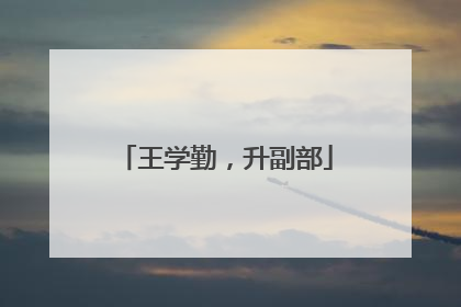 王学勤，升副部