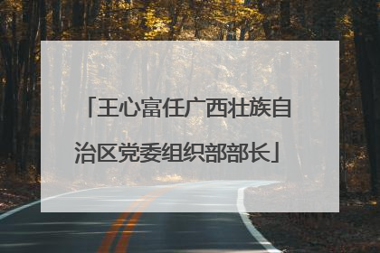 王心富任广西壮族自治区党委组织部部长