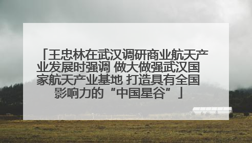 王忠林在武汉调研商业航天产业发展时强调 做大做强武汉国家航天产业基地 打造具有全国影响力的“中国星谷”