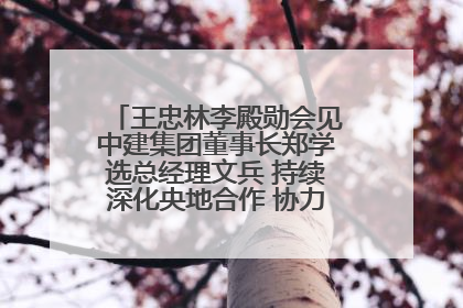 王忠林李殿勋会见中建集团董事长郑学选总经理文兵 持续深化央地合作 协力推动支点建设