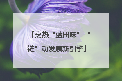 烹热“蓝田味”“链”动发展新引擎