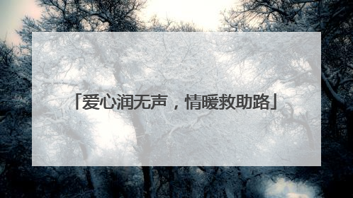 爱心润无声，情暖救助路