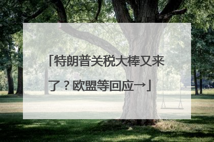 特朗普关税大棒又来了？欧盟等回应→