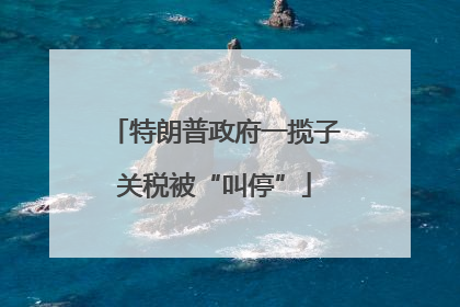 特朗普政府一揽子关税被“叫停”